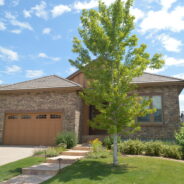 PAST SALE: “BackCountry” Estate at Highlands Ranch