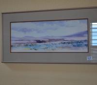 DSC_0482