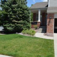PAST SALE: HUGE HIGHLANDS RANCH ESTATE SALE