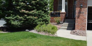 PAST SALE: HUGE HIGHLANDS RANCH ESTATE SALE
