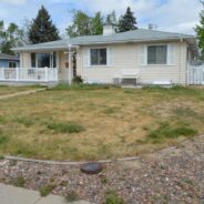 COLLECTORS PARADISE SOUTHEAST DENVER