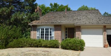 LITTLETON END OF SUMMER SALE